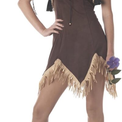 California Costumes womens Sexy Indian Princess/Adult Adult Sized Costume, Brown, One Size US