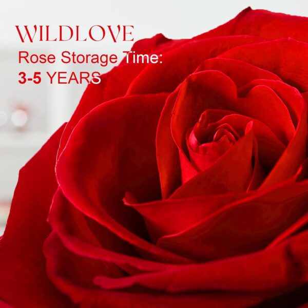 WILDLOVE Forever Real Rose with Heart Necklace, Preserved Flowers Gifts for Mom, Wife and Girlfriend on Christmas, Valentine's Day, Mother's Day, Birthday for Women Her - Red - Image 4