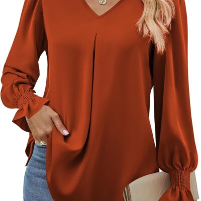 Funlingo Women's 2024 Long Sleeve Tops Dressy Casual V Neck Tunic Shirts Loose Chiffon Work Blouse