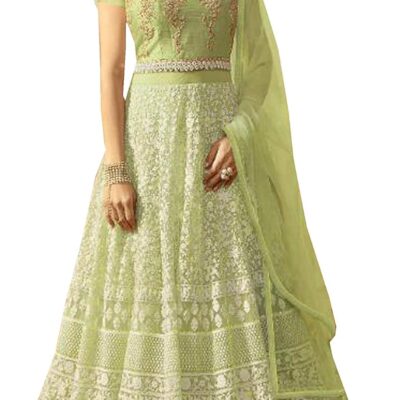 Delisa New IndianPakistani Wear Anarkali Suit and Party Wear Suit for Women