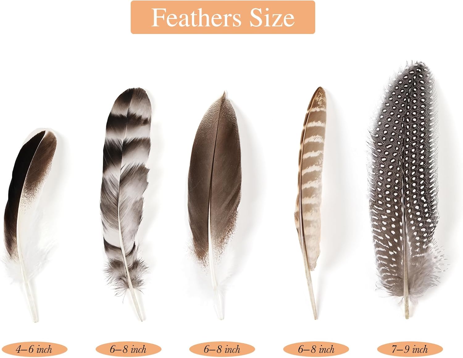 iHUFeather 40pcs Natural Pheasant Feathers Bulk Spotted Feathers 5 Styles Mixed Feathers for Crafts DIY Hat Floral Arrangements Wedding Home Decorations - Image 2