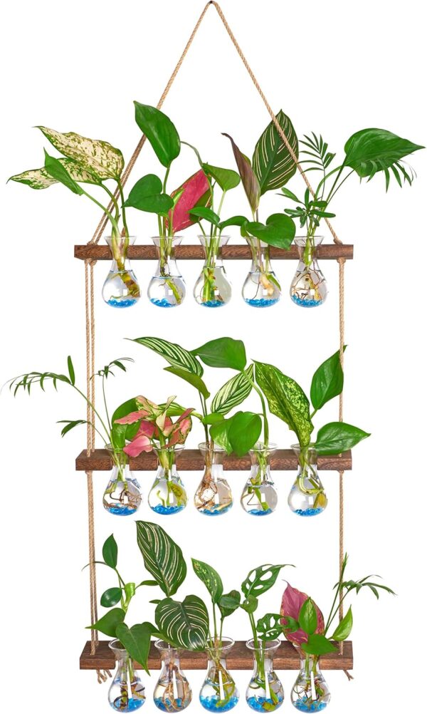 XXXFLOWER Wall Hanging Propagation Station with Wooden Stand 5 Bulb Vase 3 Tiered Planters Wall Terrarium for Home Office Plant Hanger Flower Vases Wall Decor(Brown)
