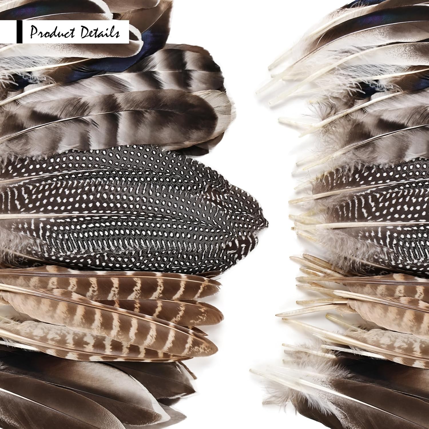 iHUFeather 40pcs Natural Pheasant Feathers Bulk Spotted Feathers 5 Styles Mixed Feathers for Crafts DIY Hat Floral Arrangements Wedding Home Decorations - Image 3