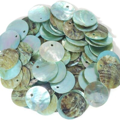 Firstmeet Shell Beads 65pcs Natural 20mm Flat Round Mussel Shell Coin Drop Charm Beads with Iridescent Back for Handcraft Jewelry Making(DIY-1023-Opal Blue-20)
