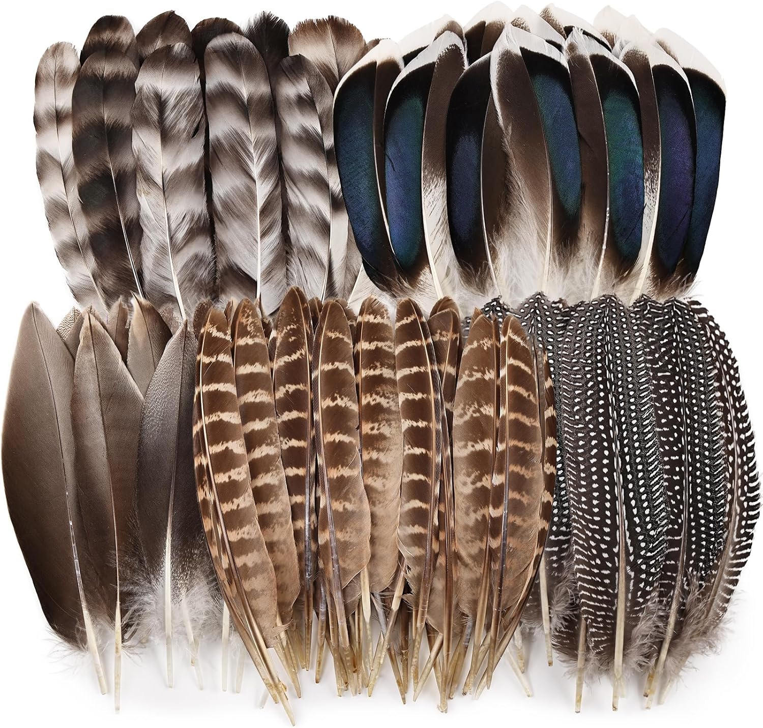 iHUFeather 40pcs Natural Pheasant Feathers Bulk Spotted Feathers 5 Styles Mixed Feathers for Crafts DIY Hat Floral Arrangements Wedding Home Decorations