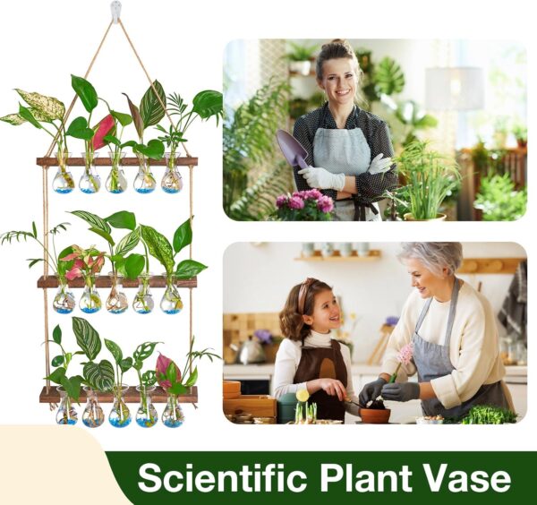 XXXFLOWER Wall Hanging Propagation Station with Wooden Stand 5 Bulb Vase 3 Tiered Planters Wall Terrarium for Home Office Plant Hanger Flower Vases Wall Decor(Brown) - Image 6