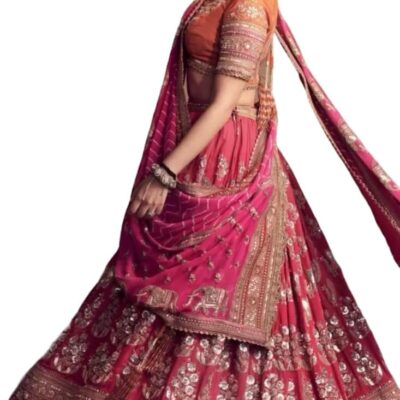 Indian Bollywood Stylish Ready to Wear Lehenga Choli Party Wear Pakistani Beautiful Choli. LC1324