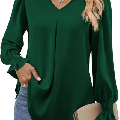 Funlingo Women's 2024 Long Sleeve Tops Dressy Casual V Neck Tunic Shirts Loose Chiffon Work Blouse