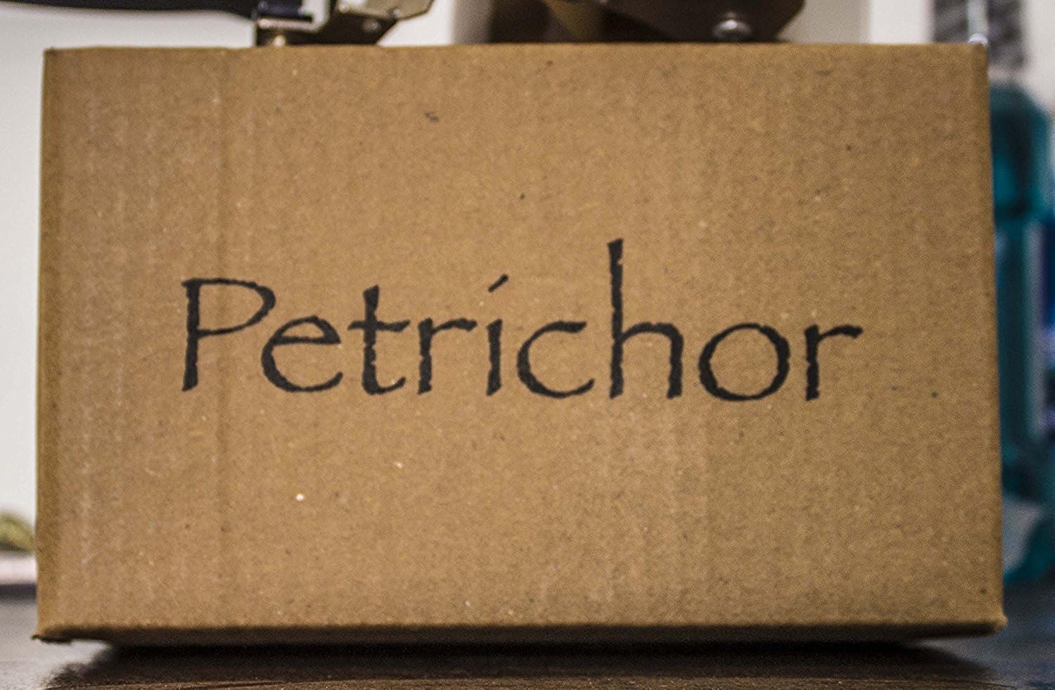 Petrichor Handmade Laughing Buddha Sitting on Lucky Money Coins Carrying Golden Ingot for Feng Shui Good Luck & Happiness (5 inch) - Image 3