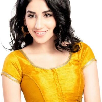 Indian Designer Saree Blouse for Women Readymade Choli top indian Stylish blouse